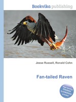 Fan-tailed Raven