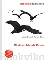 Chatham Islands Raven