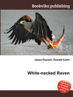 White-necked Raven