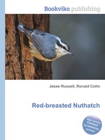 Red-breasted Nuthatch