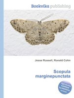 Scopula marginepunctata