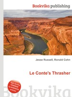 Le Conte`s Thrasher