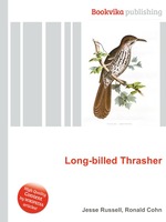 Long-billed Thrasher