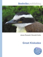 Great Kiskadee