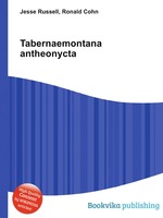 Tabernaemontana antheonycta