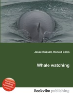 Whale watching