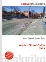 Walden Street Cattle Pass