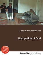 Occupation of Gori