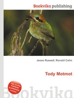 Tody Motmot