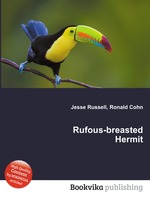 Rufous-breasted Hermit