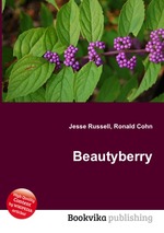 Beautyberry