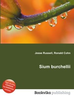 Sium burchellii