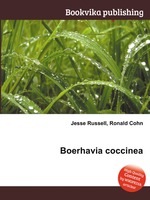 Boerhavia coccinea