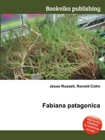 Fabiana patagonica