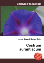 Cestrum aurantiacum