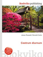 Cestrum diurnum