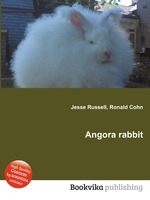 Angora rabbit