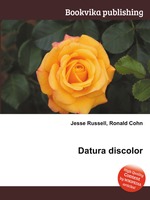 Datura discolor