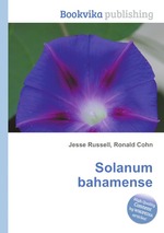 Solanum bahamense