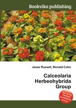 Calceolaria Herbeohybrida Group