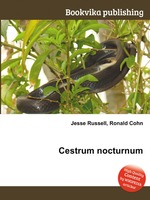 Cestrum nocturnum