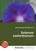 Solanum seaforthianum