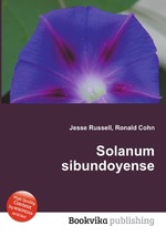 Solanum sibundoyense