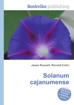 Solanum cajanumense