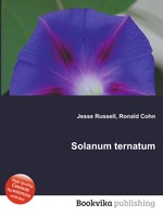 Solanum ternatum