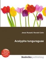 Acalypha tunguraguae
