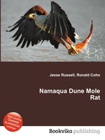 Namaqua Dune Mole Rat