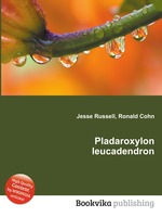 Pladaroxylon leucadendron