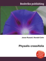 Physalis crassifolia