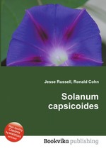 Solanum capsicoides