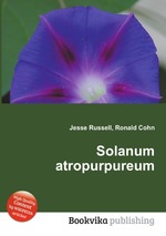 Solanum atropurpureum