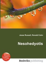 Nesohedyotis