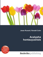 Acalypha hontauyuensis