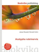 Acalypha rubrinervis