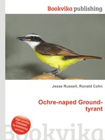 Ochre-naped Ground-tyrant