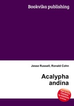 Acalypha andina