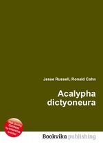 Acalypha dictyoneura