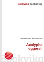 Acalypha eggersii