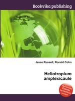 Heliotropium amplexicaule