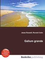 Galium grande