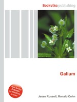 Galium