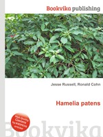 Hamelia patens