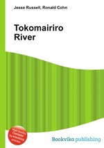 Tokomairiro River