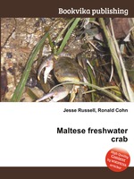 Maltese freshwater crab