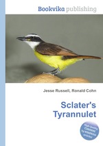 Sclater`s Tyrannulet