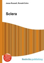 Sclera